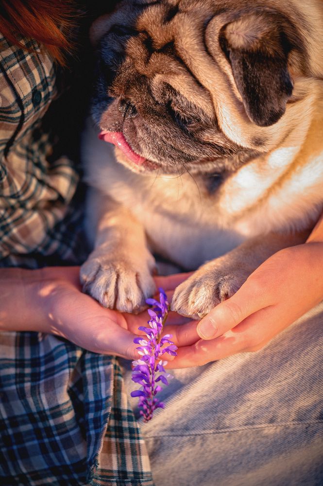 Photograph by Марина Чеботарева