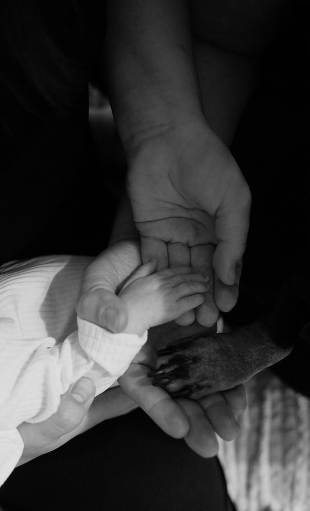 Фотография автора Алена Баулина