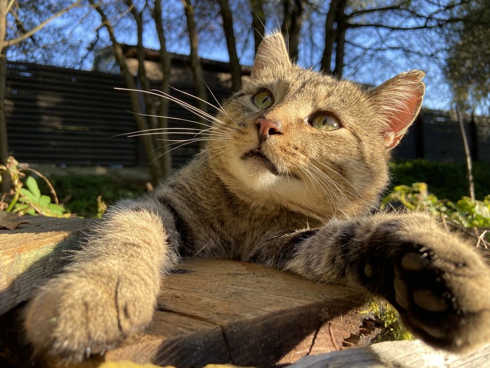 Что же нас ждет?