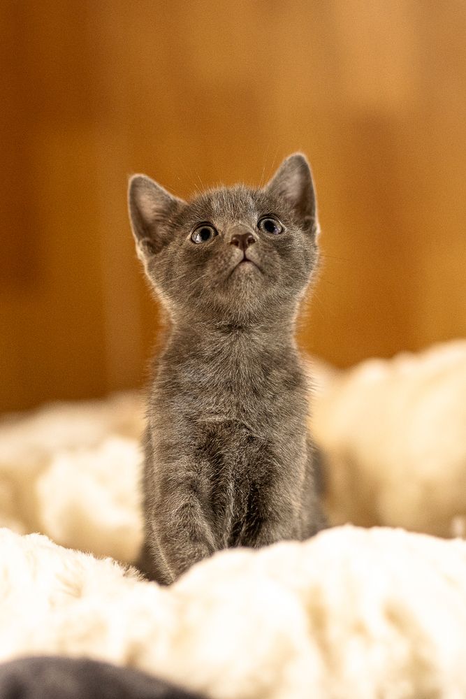 Фотография автора Fabienne Gassmann