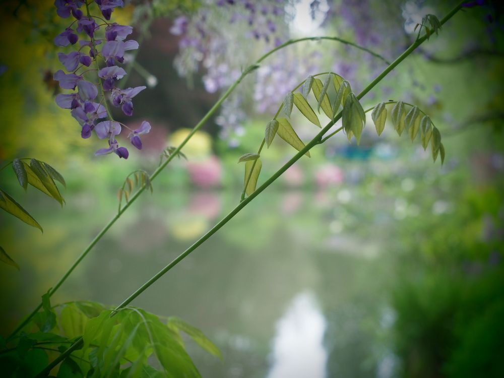 Photograph by Алексей Гнедовский