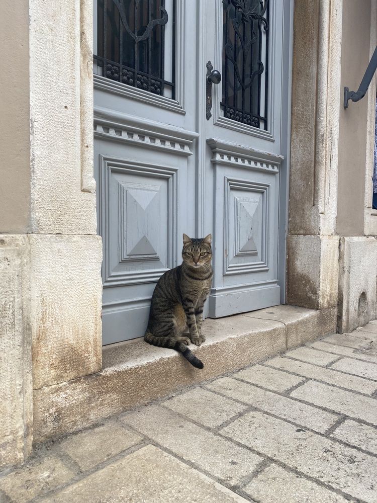 Photograph by Karoline Palme