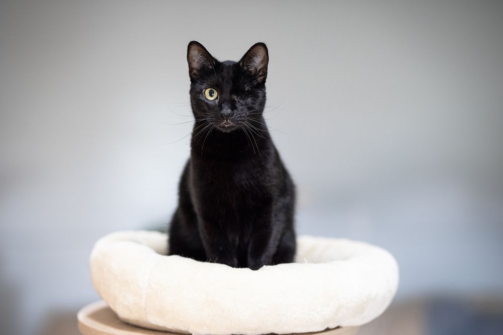 Фотография автора Fabienne Gassmann