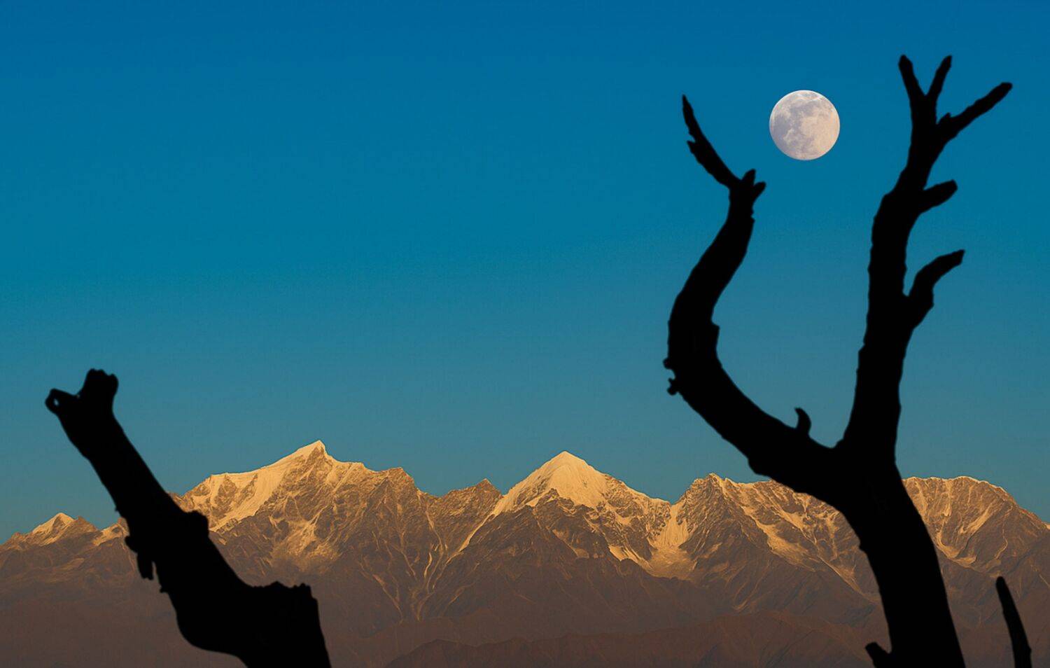 Фотография #12230992