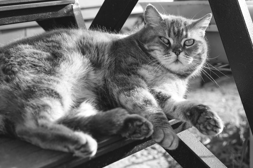 Photograph by Чернышова Наталья