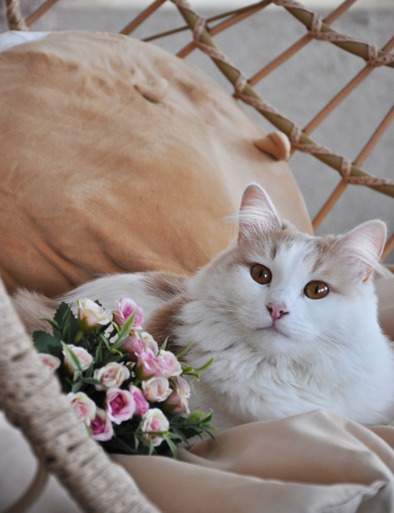 Photograph by Светлана