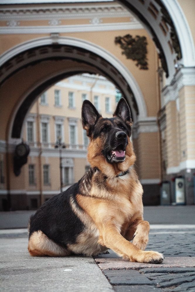 Photograph by Александра Чеканова