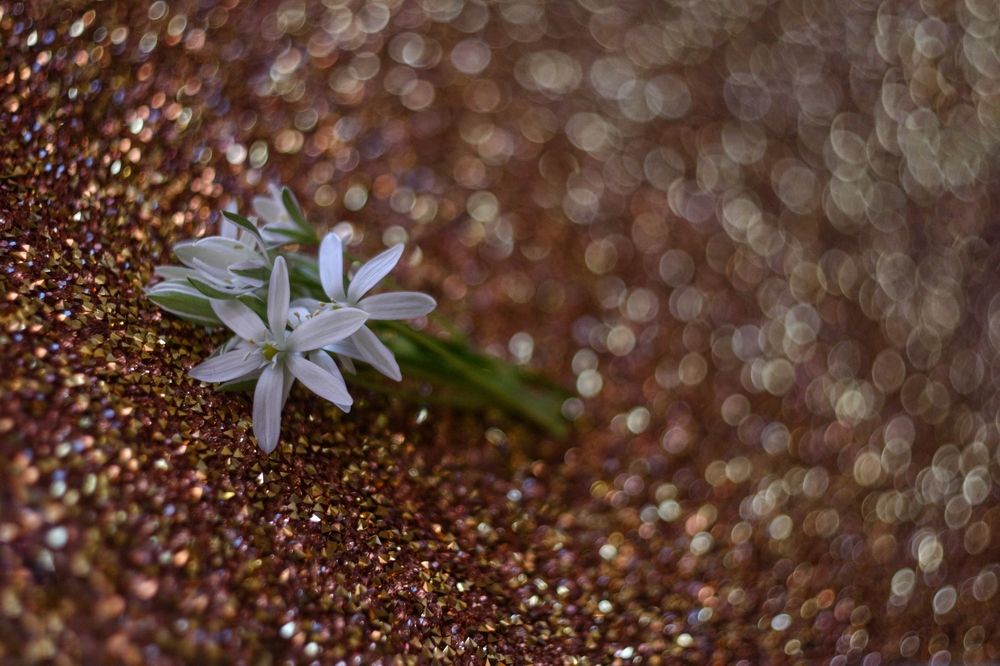 Photograph by Magic Helios