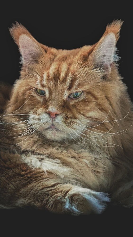 Photograph by Елена