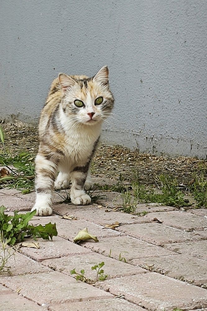 Photograph by Елена