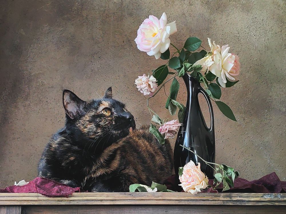 Photograph by Ирина Ветюгова