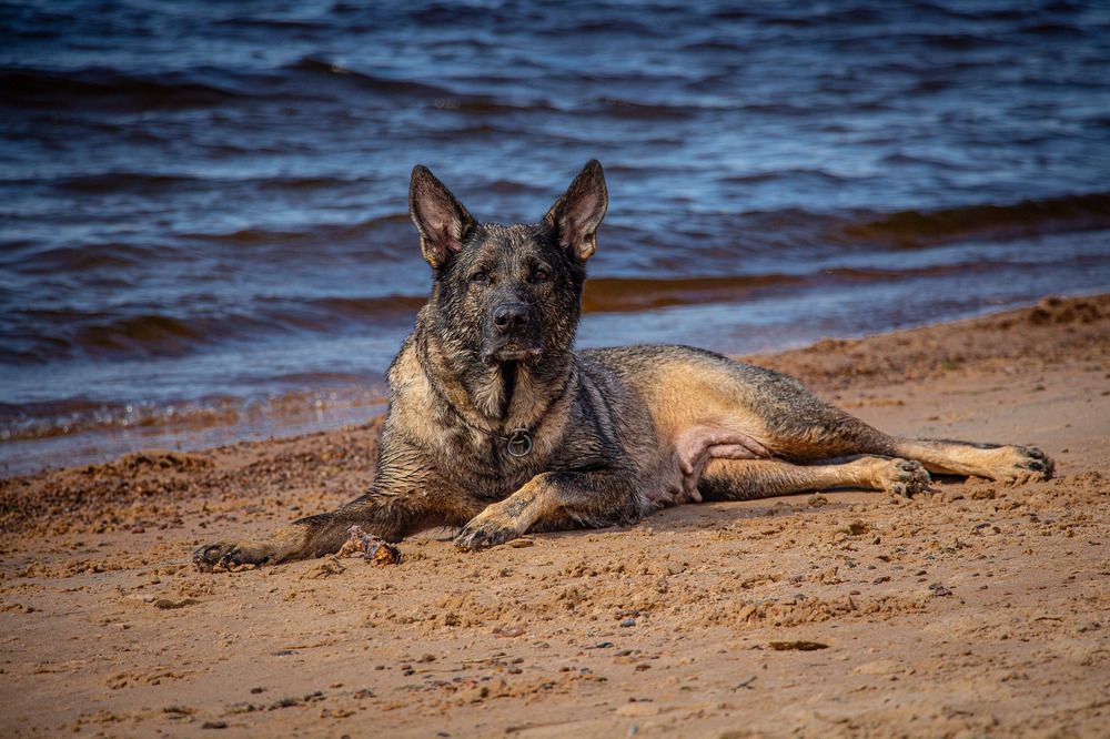 Photograph by Александра Чеканова