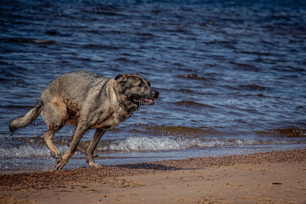 Photograph by Александра Чеканова