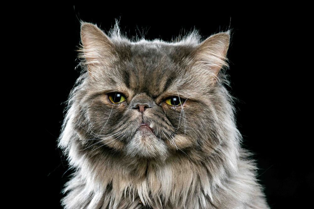 Photograph by Sabet Vahid