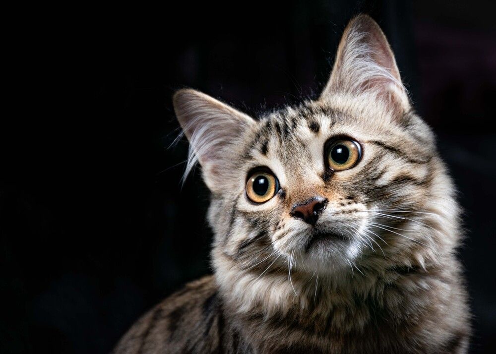 Photograph by Sabet Vahid