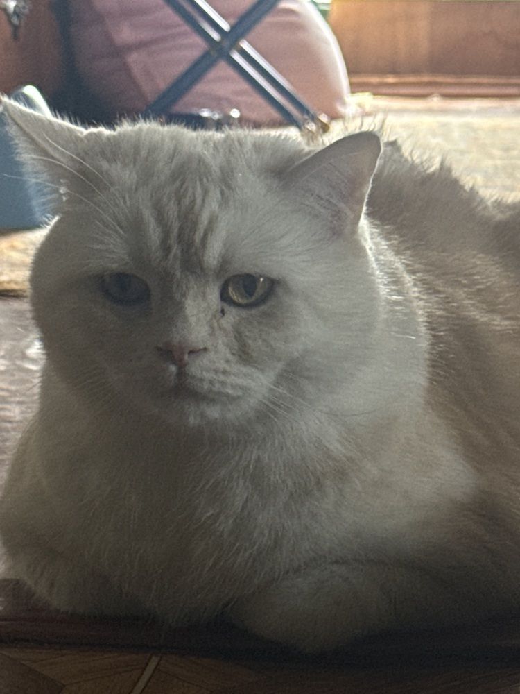 Photograph by Екатерина Игоревна