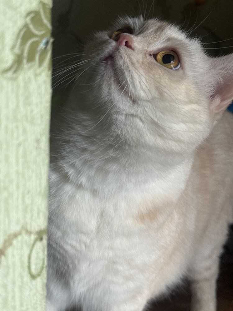 Photograph by Екатерина Игоревна