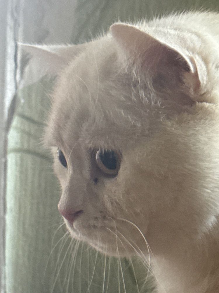 Photograph by Екатерина Игоревна