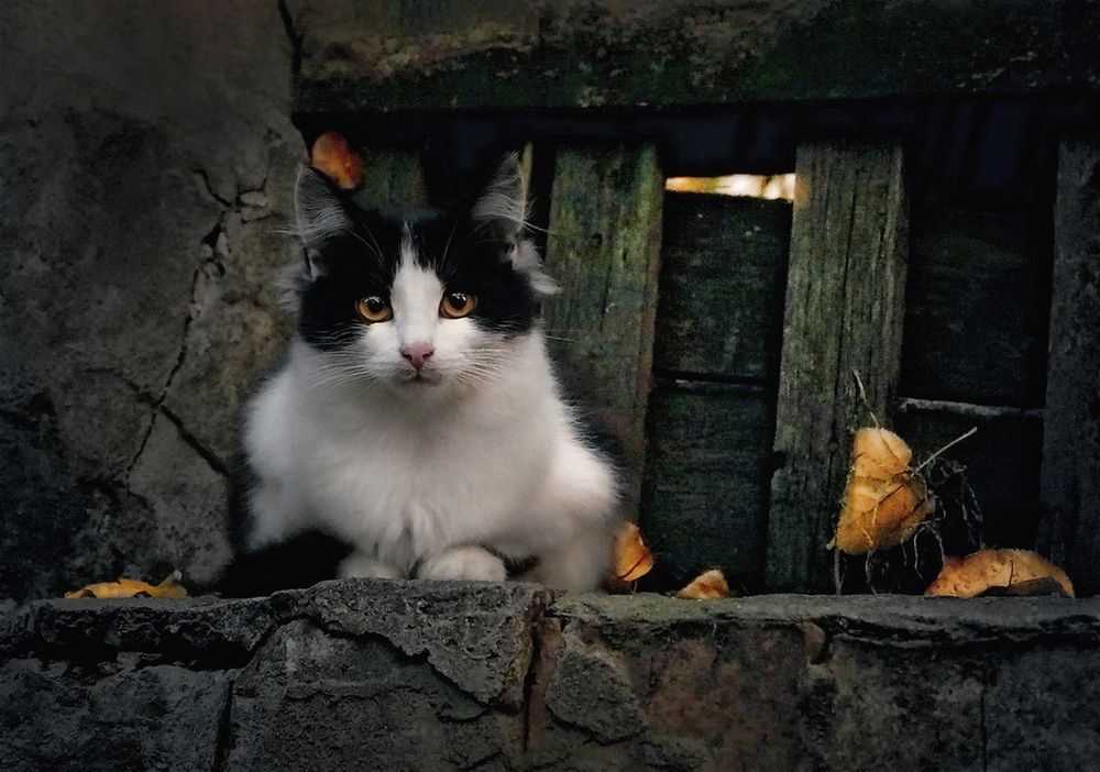 Фотография автора Е лена Е