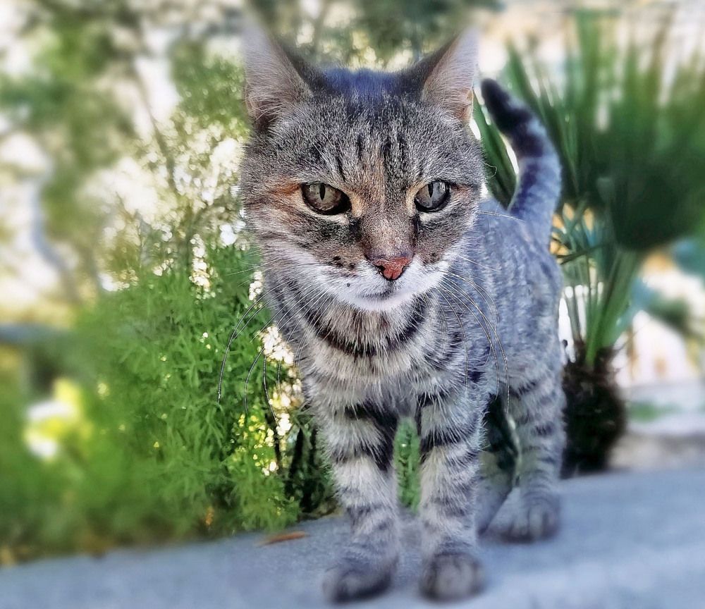 Photograph by Marjo Steffen