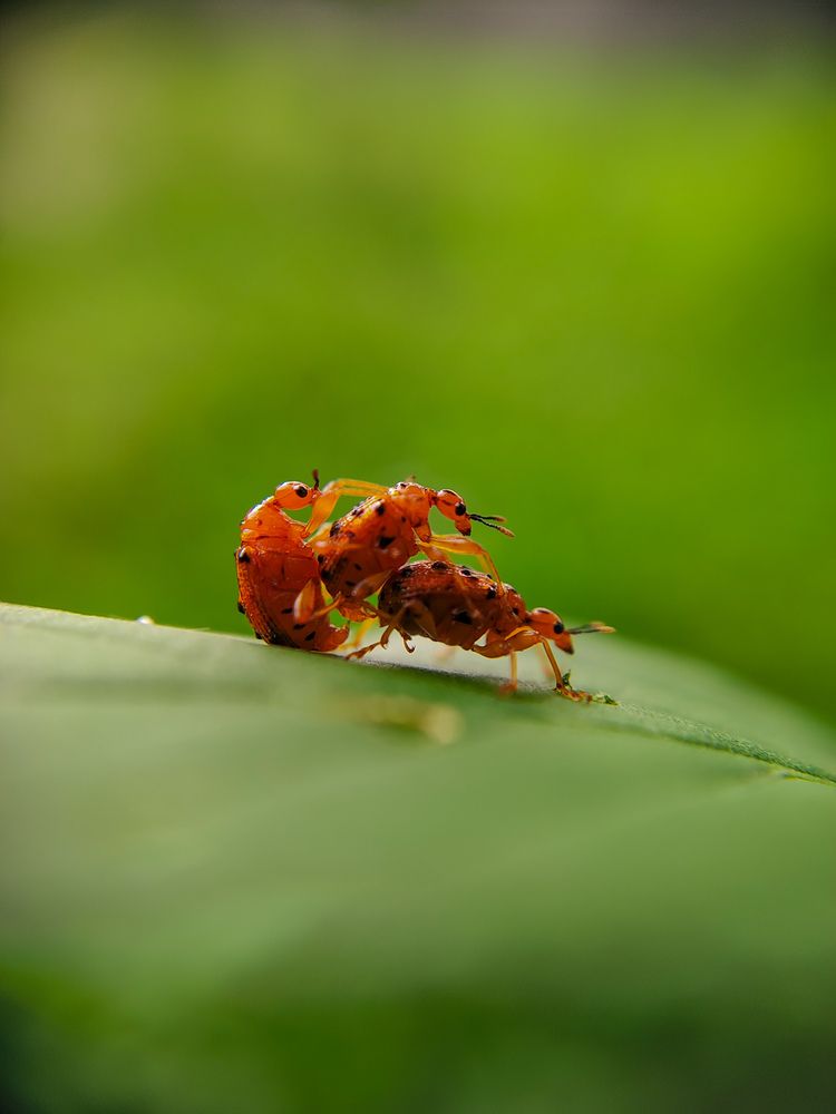 Photograph by Vivek Photography