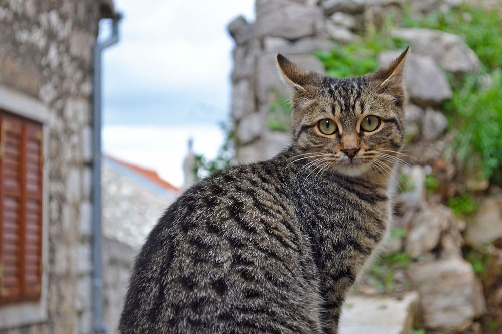 Photograph by Marjo Steffen