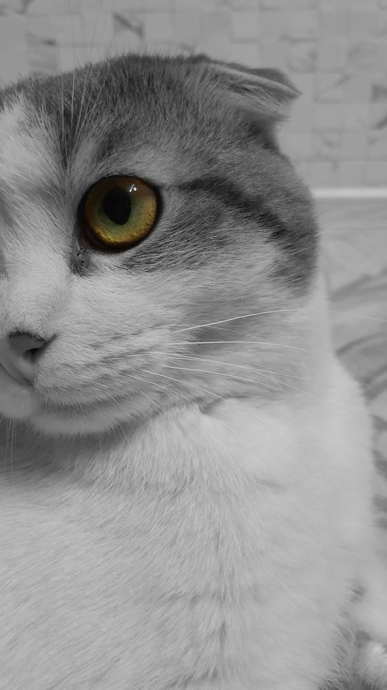 Photograph by Анастасия Дынина