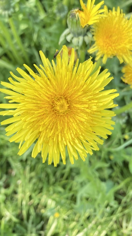 Photograph by Аркадий Каллистов