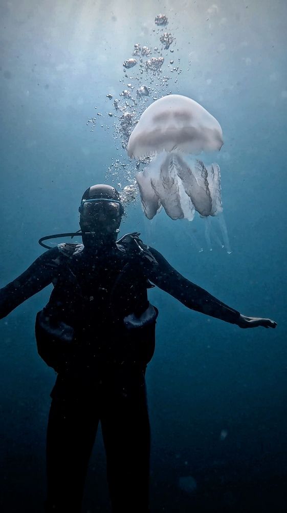 Фотография автора Юлия Вишневская