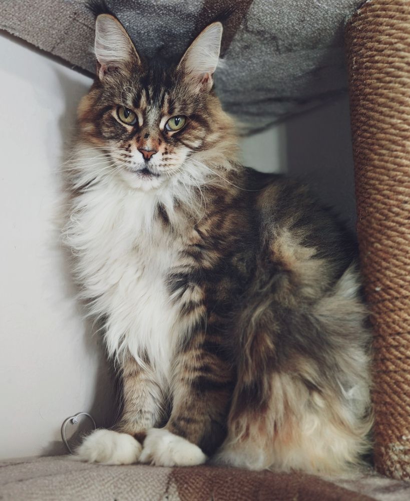 Photograph by Ирина Басырова
