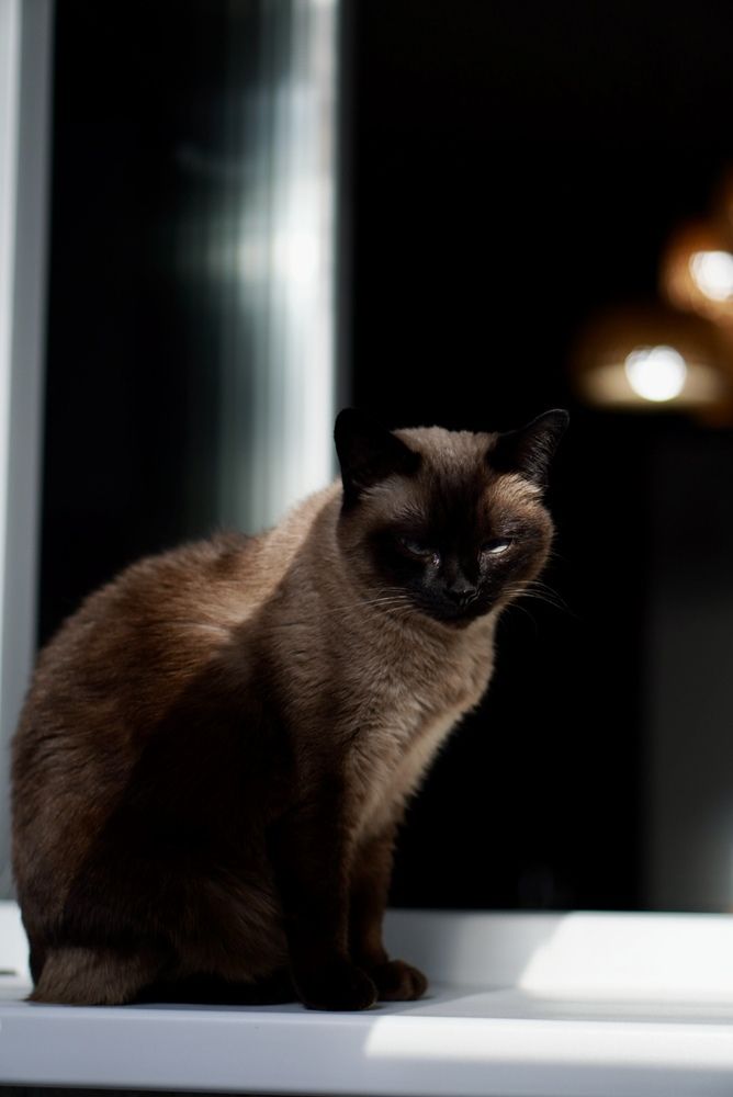 Photograph by Юлия Прончакова-Мойкина