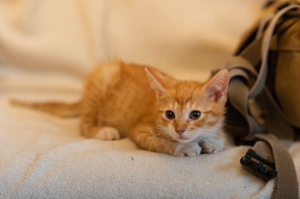 Photograph by Харитонова Ирина