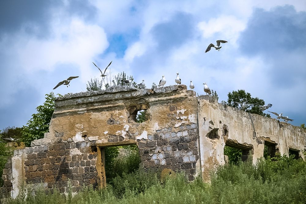 Photograph by Наталья Струц