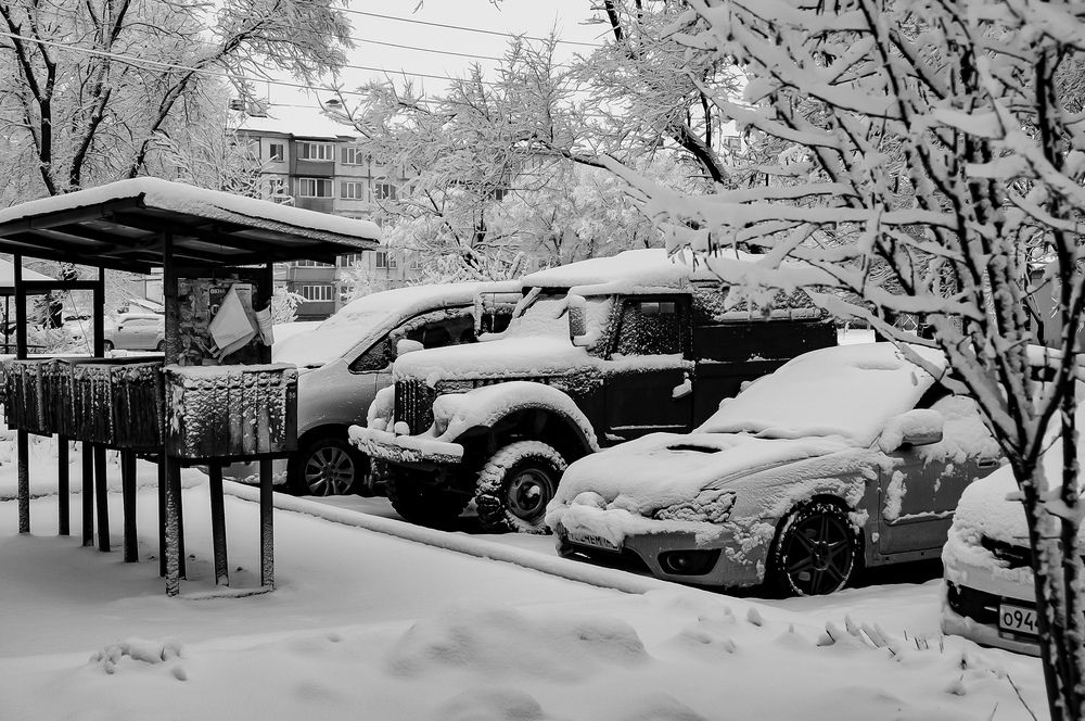 Photograph by Наталья Струц