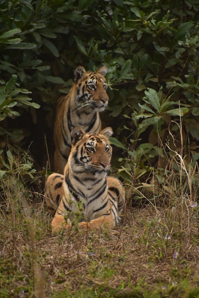 Photograph by Siddharth M(SIDDHU SP)
