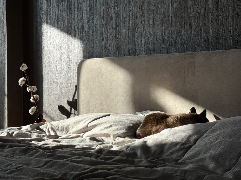 Photograph by Юлия Прончакова-Мойкина