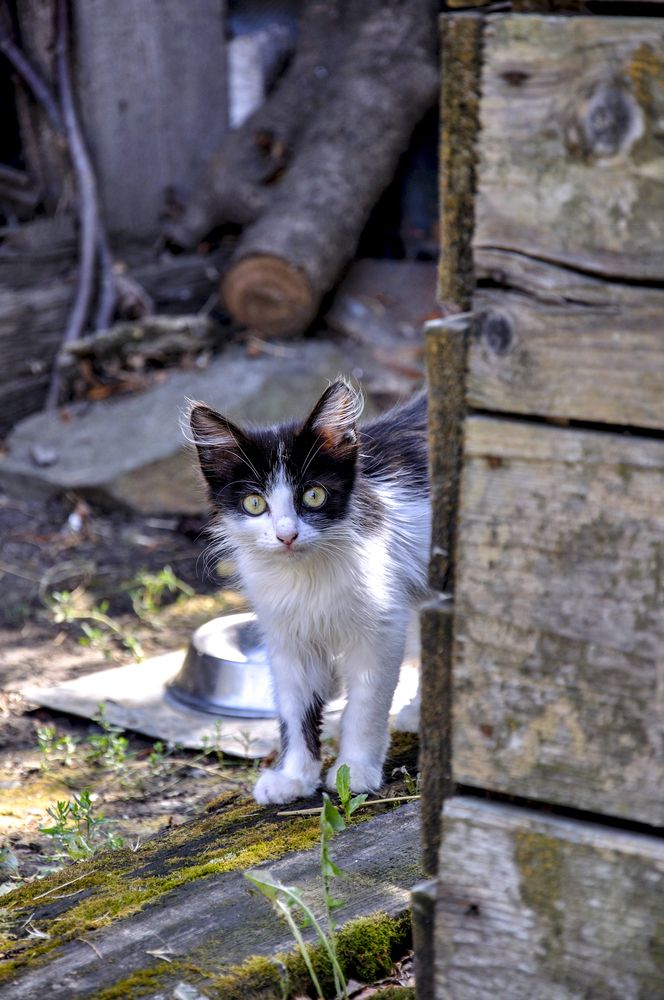 Фотография автора Татьяна Петренко