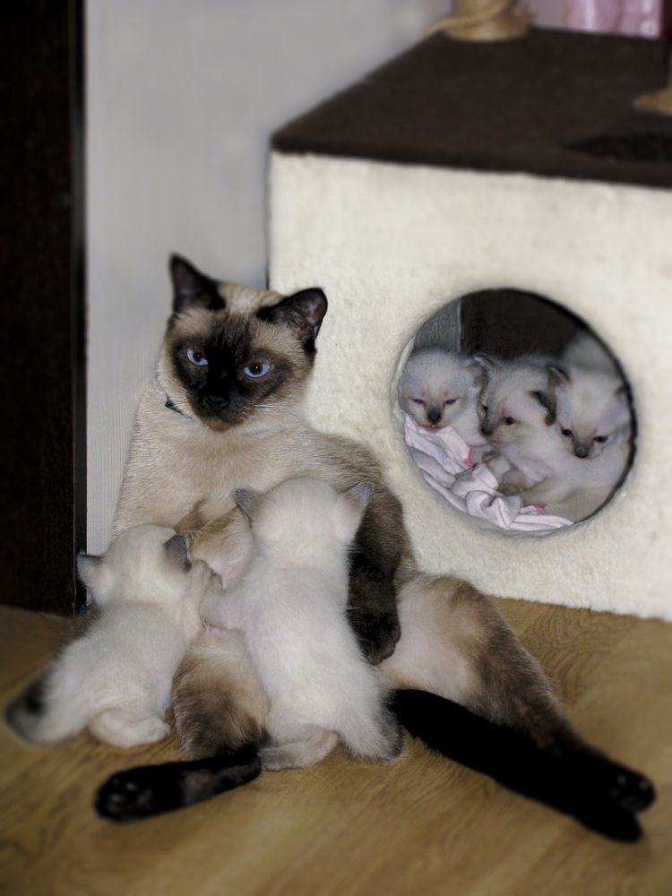 Photograph by Татьяна Петренко
