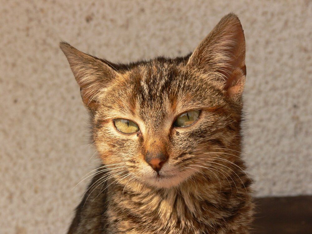 Photograph by Mila Nikolova