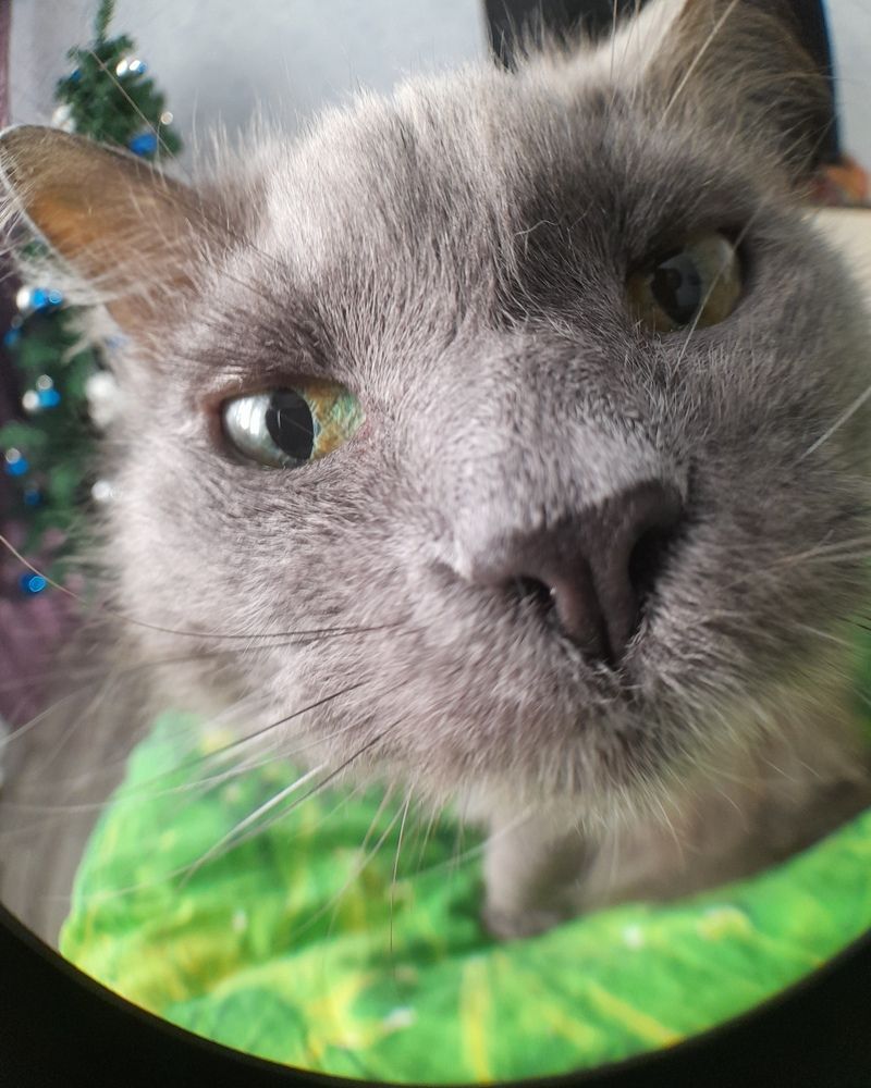 Photograph by Екатерина