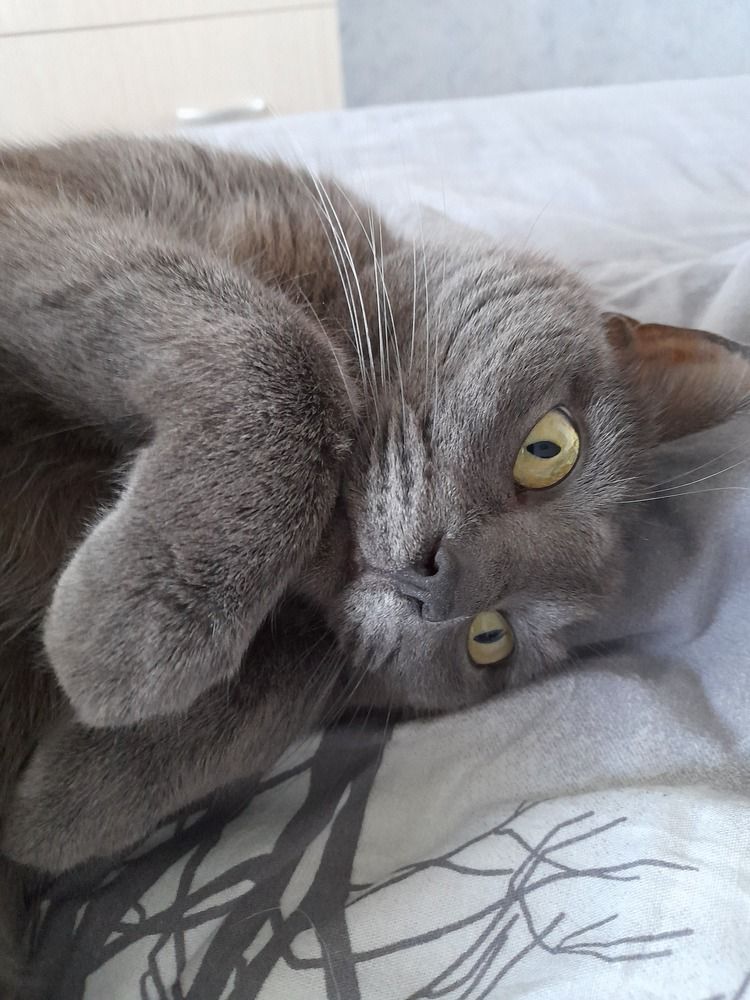 Photograph by Екатерина