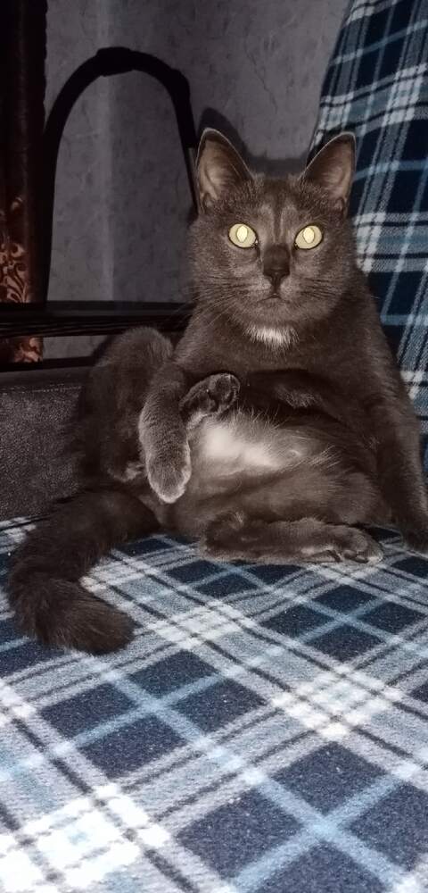 Photograph by Екатерина