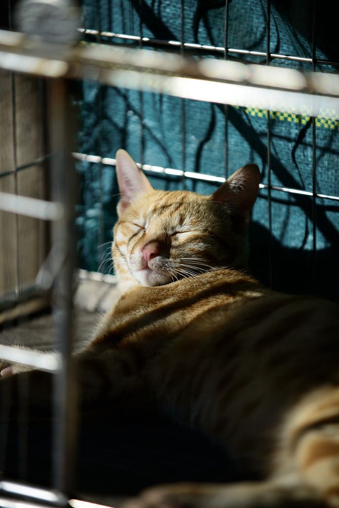 Фотография автора Bùi Nguyễn