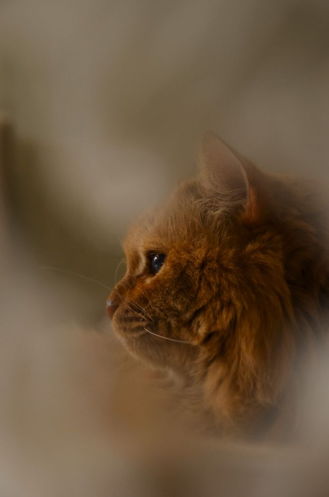 Photograph by Алёна Петрова