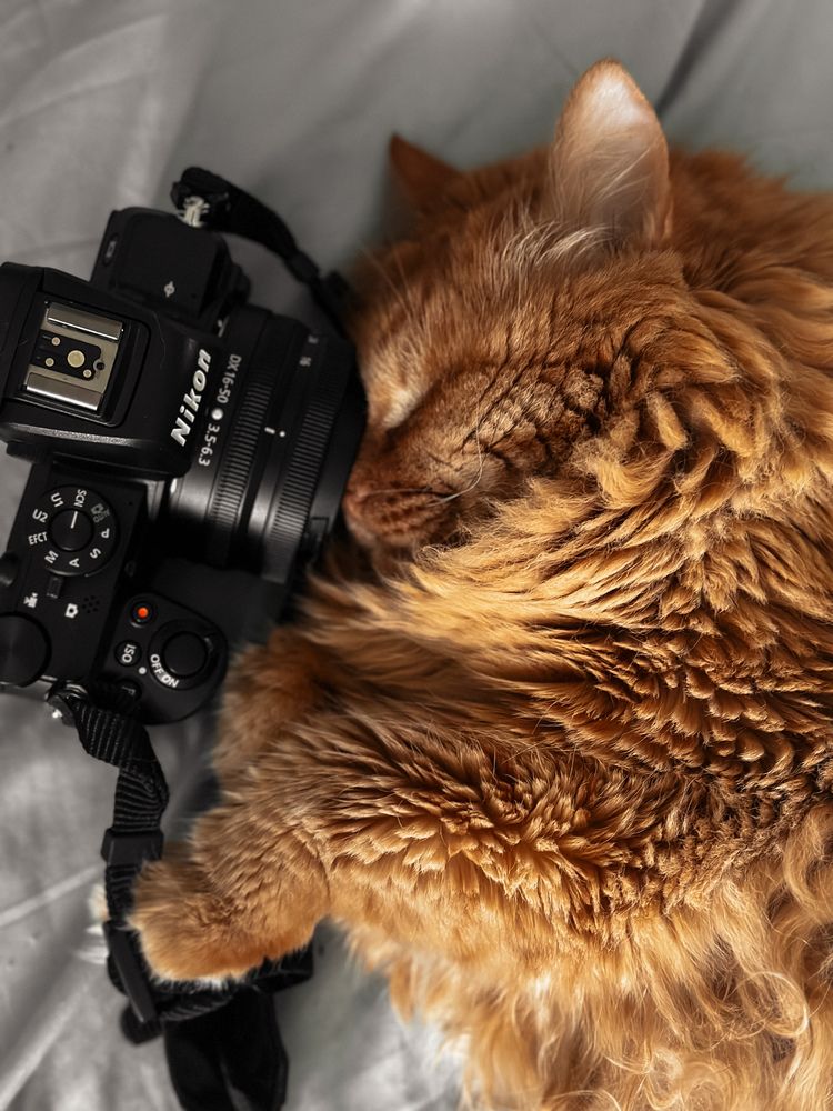 Photograph by Алёна Петрова