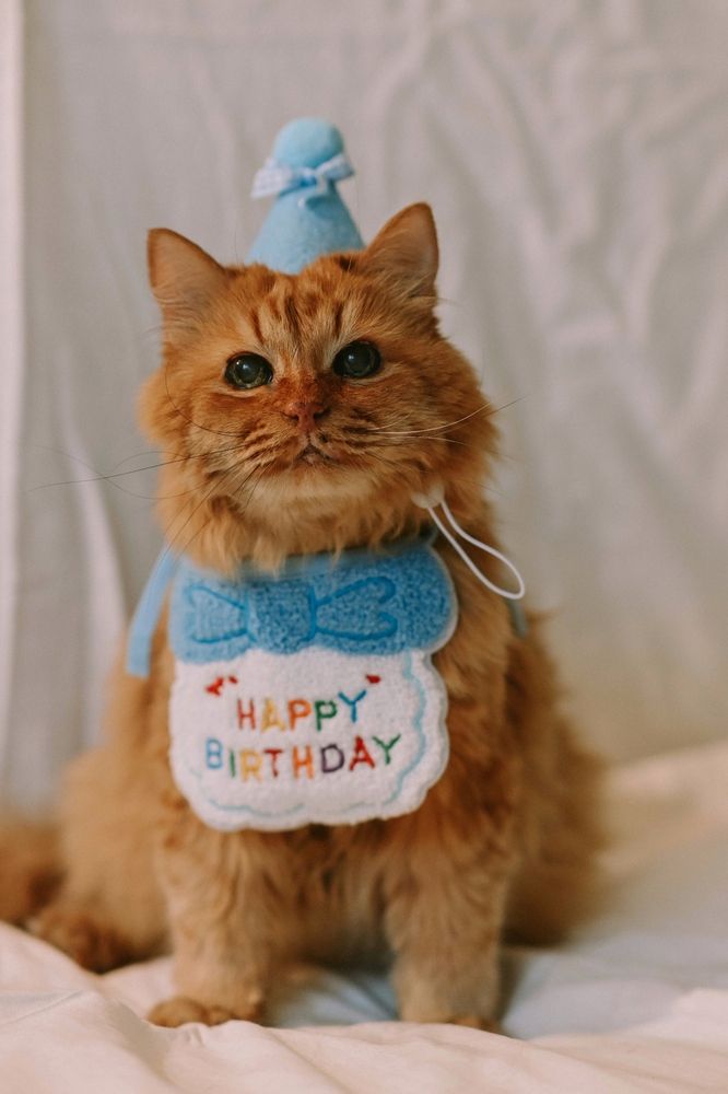 Photograph by Алёна Петрова