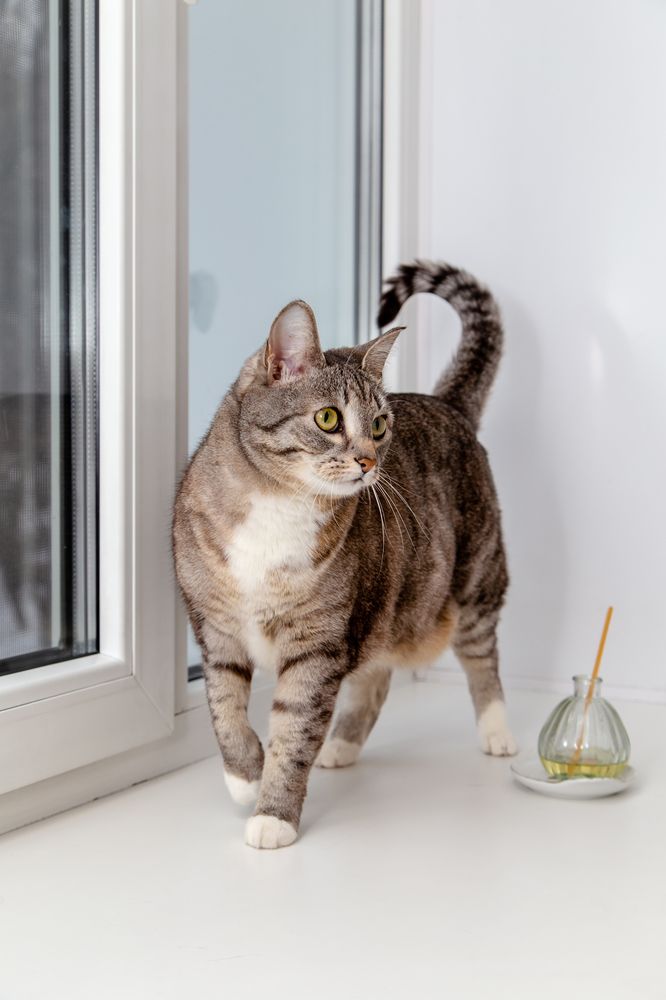 Photograph by Семенов Александр