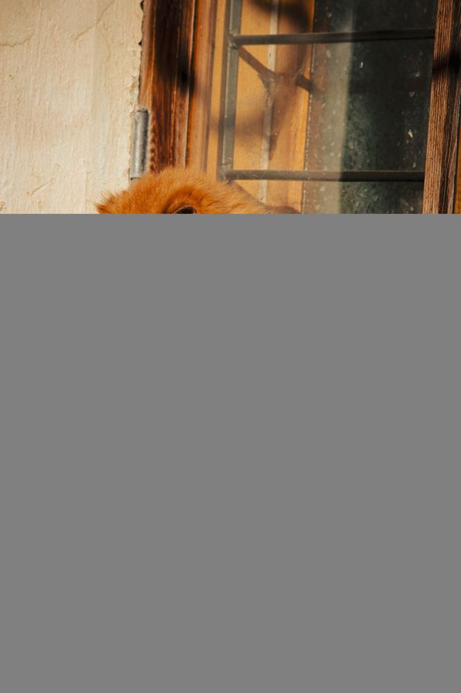 Photograph by Христина Сергейчик