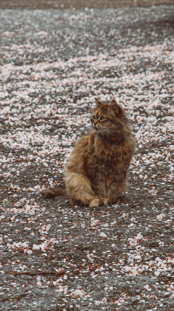 Photograph by Христина Сергейчик