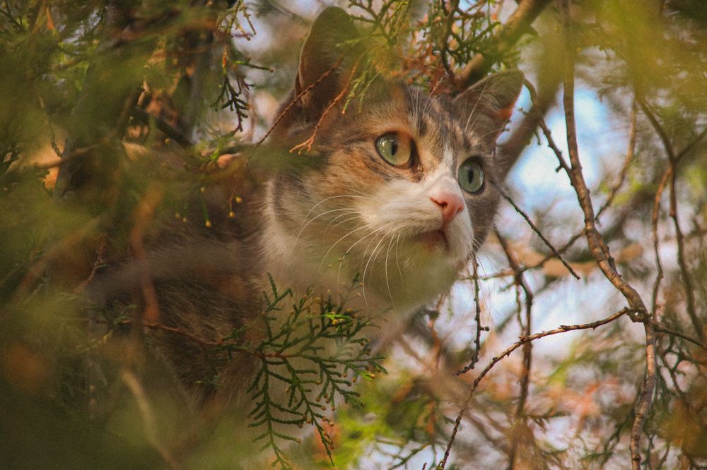 Photograph by Христина Сергейчик